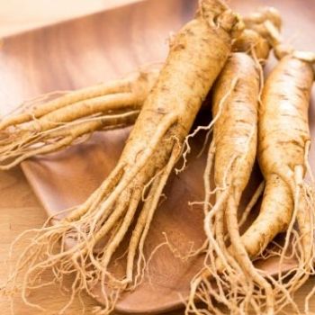 Ginseng