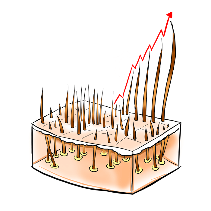 regeneração dos fios